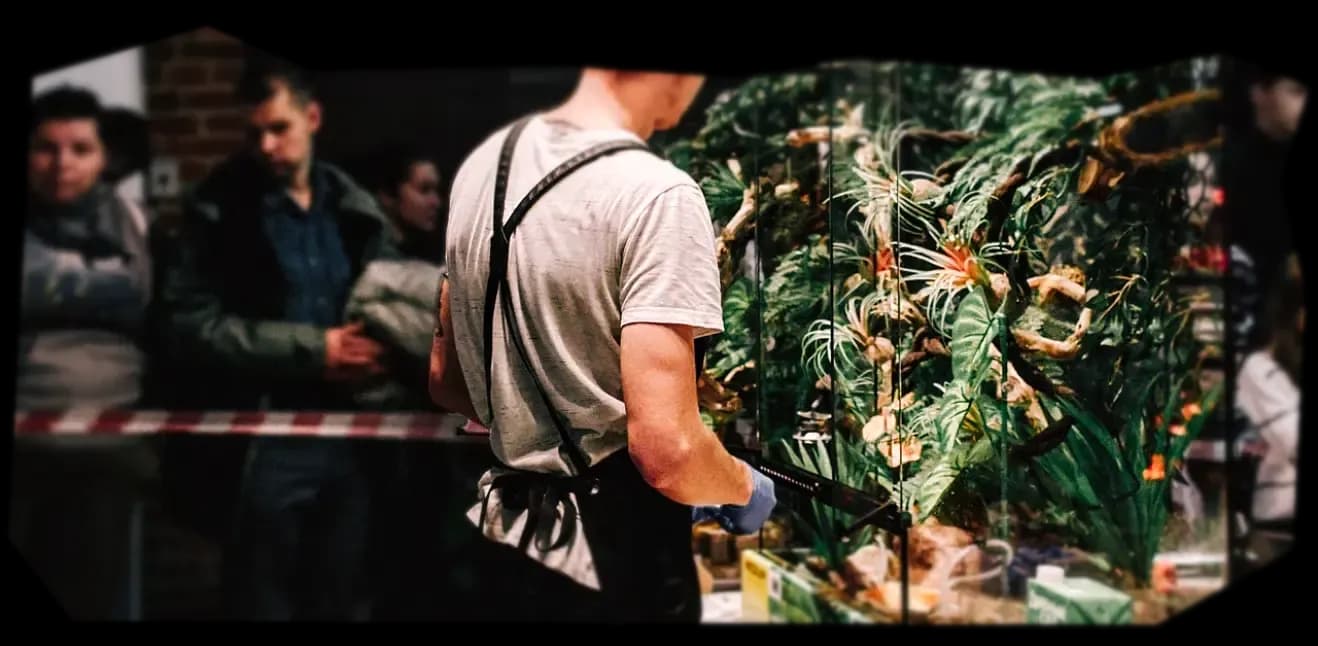 иллюстрация новости